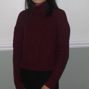 American Eagle Maroon Sweater
